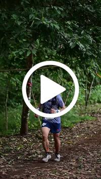 BIB:  <button type="button" onclick="openModal(27288372)" class="btn btn-primary btn-sm float-right" data-toggle="modal" data-target=".modal-high-quality">
                <i class="fa fa-download"></i> Download
                </button>